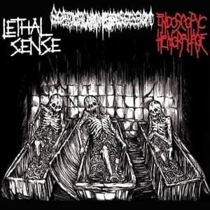 Scatologic Madness Possession / Endoscopyc Hemorrhage / Lethal Sense