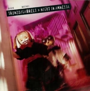 Night In Amnesia