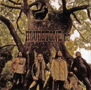 Bluestone Co.