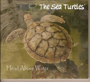 Head Above Water
