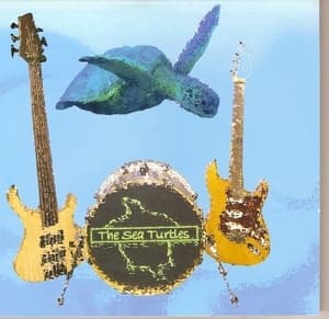 The Sea Turtles