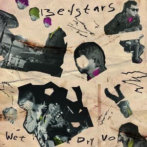 Wet Hearts & Dry Vomit
