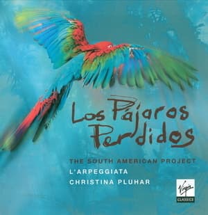 Los Pajaros Perdidos - The South American Project