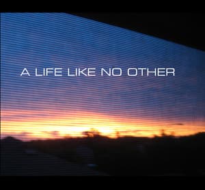 A Life Like No Other