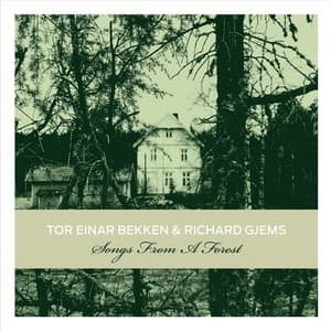 Songs From A Forest