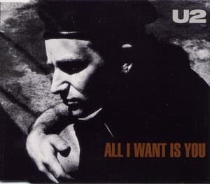All I Want Is You [CDM]