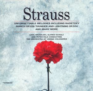 Waltzes, Polkas And Marches