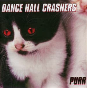Purr