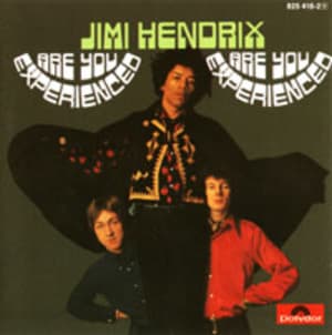 Are You Experienced