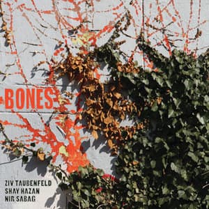 Bones