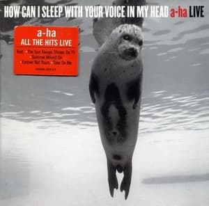 How Can I Sleep With Your Voice In My Head