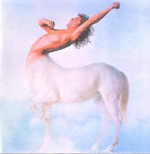 Ride A Rock Horse