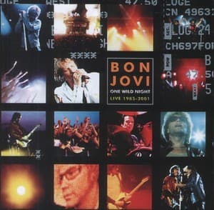 One Wild Night - Live 1985-2001