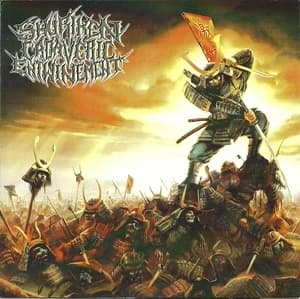 As The Shroud Of Suffering Suffocates The Land