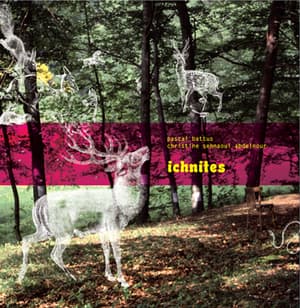 Ichnites