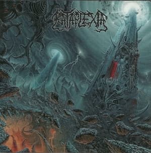 Supreme Authority
