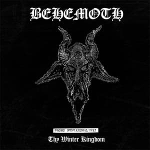 Thy Winter Kingdom