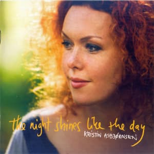 The Night Shines Like The Day