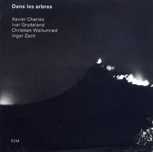 Dans Les Arbres