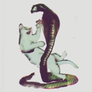 The Cat & The Cobra