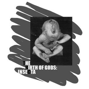 The Birth Of Gods: Insecta