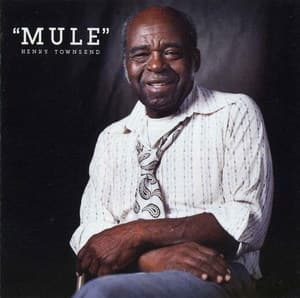 Mule