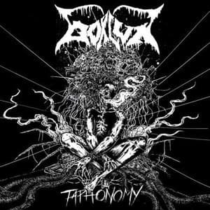 Taphonomy