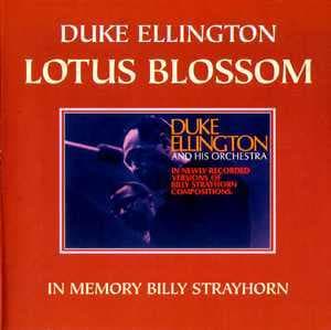 Lotus Blossom