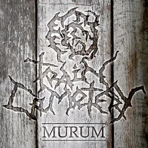 Murum