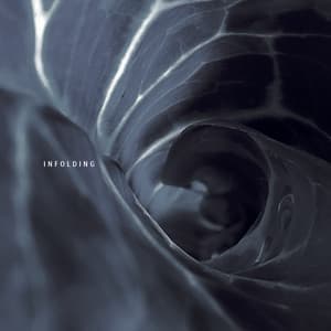 Infolding