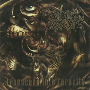 Transcend into Ferocity [Willowtip Rec., WT-076, United States]