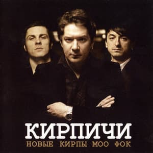Новые Кирпы МОО ФОК