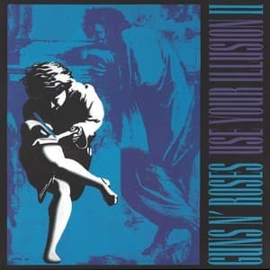 Use Your Illusion II (Vinyl Rip) (LP1)[2016 Geffen Records Remaster]