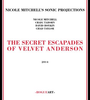 The Secret Escapades Of Velvet Anderson