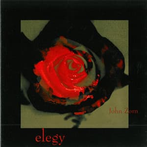 Elegy