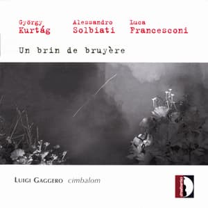 Un brin de bruyere (Kurtag - Solbiati - Francesconi) 