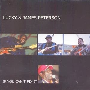 If You Can't  Fix It
