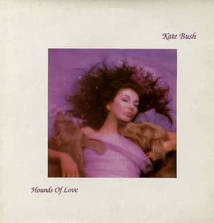 Hounds Of Love
