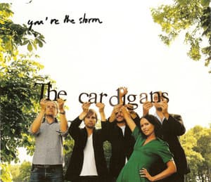 You're The Storm (single)
