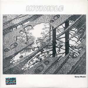Invisible