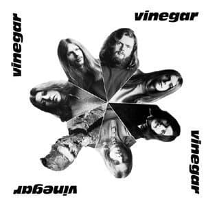 Vinegar
