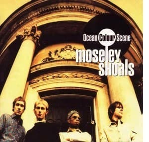 Moseley Shoals