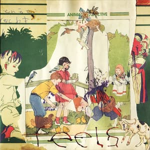 Animal Collective Live