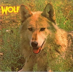 Canis Lupus