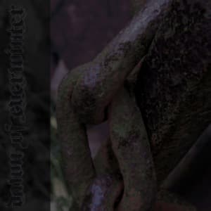 Embrace The Despair
