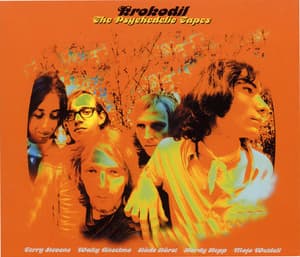 The Psychedelic Tapes