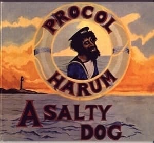 A Salty Dog