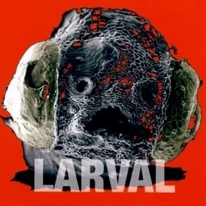 Larval