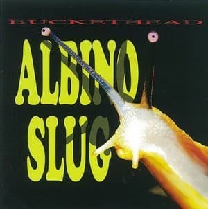 Albino Slug
