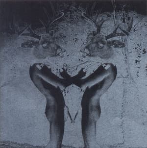 Deerhunter